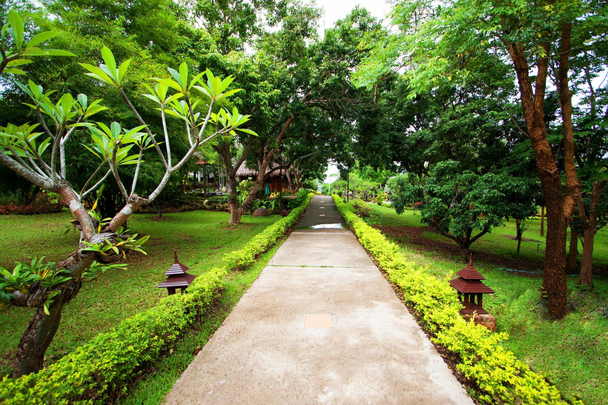 Touch Star Resort - Doi Inthanon Chom Thong Exteriör bild